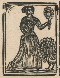35147-30.jpg