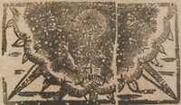 35156-10.jpg
