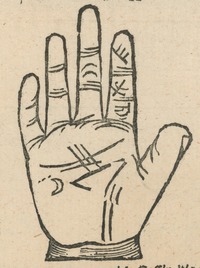 35166-20.jpg
