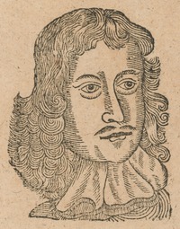 35185-10.jpg