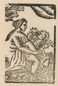 35191-10.jpg