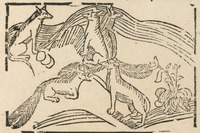 35193-10.jpg