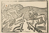 35193-20.jpg