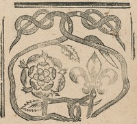 35205-20.jpg
