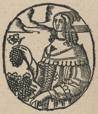 35225-20.jpg