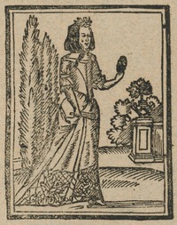 35234-10.jpg