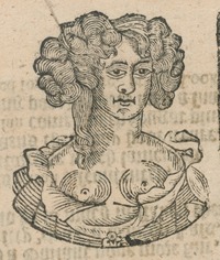 35239-30.jpg