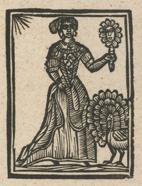 35244-20.jpg