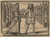 35248-10.jpg