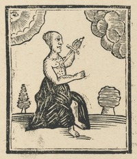 35264-10.jpg