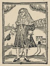 35264-20.jpg
