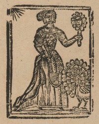 35271-20.jpg