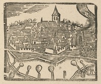 35273-10.jpg