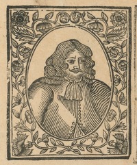 35288-10.jpg