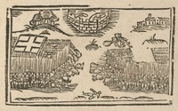 35295-10.jpg
