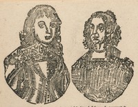 35316-20.jpg