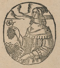 35324-20.jpg