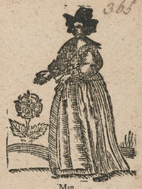 35327-30.jpg