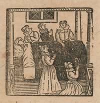 35353-30.jpg