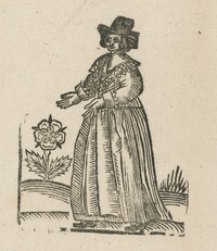 35370-20.jpg