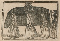 35392-10.jpg