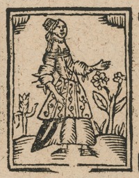 35393-20.jpg