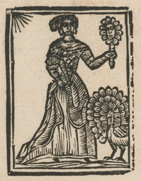 35425-20.jpg