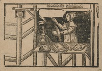 35437-10.jpg