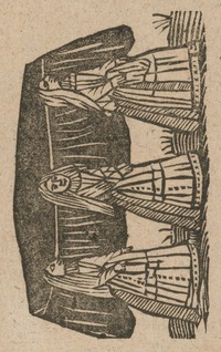 35444-10.jpg
