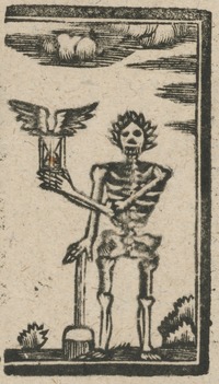 35460-20.jpg
