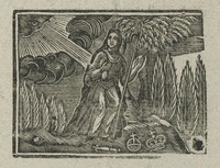 35473-10.jpg