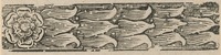 35481-20.jpg