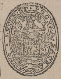 35681-50.jpg