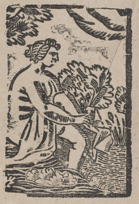 35734-20.jpg