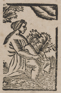 35737-10.jpg