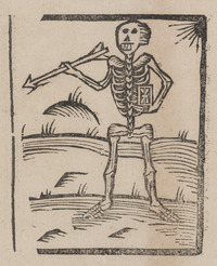 35758-20.jpg