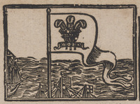 35778-20.jpg