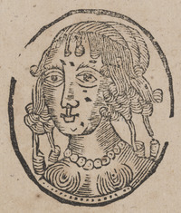 35780-20.jpg