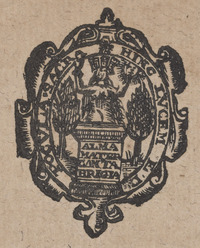 35796-30.jpg
