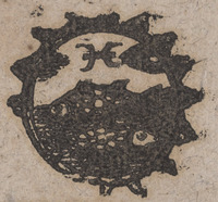 35829-50.jpg