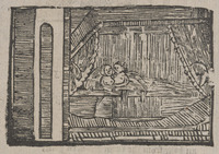 35835-10.jpg