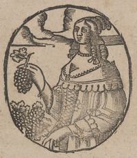 35867-20.jpg