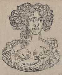 35917-20.jpg
