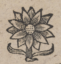 35922-40.jpg
