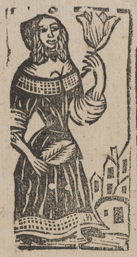 35936-10.jpg