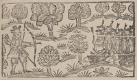 35985-10.jpg