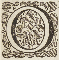 36157-10.jpg