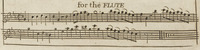 36195-20.jpg