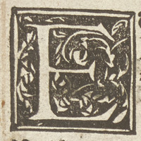 36271-10.jpg