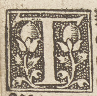 36273-10.jpg